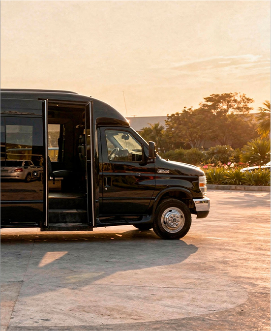 Tour de fiesta dentro de la ciudad - Black Ejecutiva