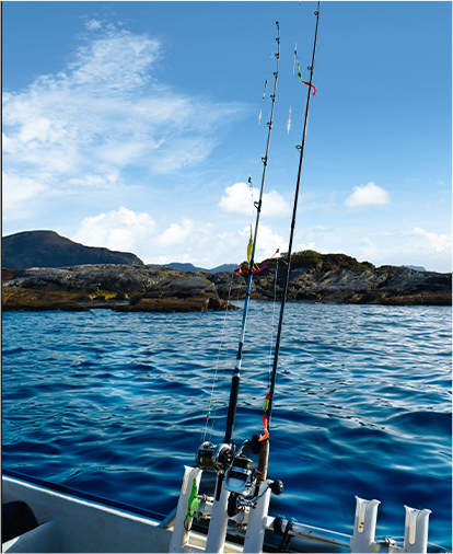 Tour de pesca Felipón